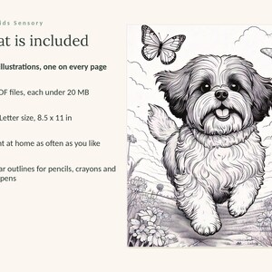 May include: A digital coloring book page featuring a black and white line art illustration of a fluffy dog running through a field of flowers with butterflies in the sky. Text includes Calm Kids Sensory, What is included, 49 illustrations, 3 PDF files, US Letter size 8.5 x 11 in, and clear outlines.