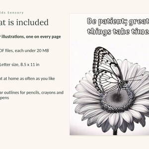 May include: A digital coloring page featuring a black and white line drawing of a butterfly resting on a daisy. The text at the top reads, Be patient; great things take time. The left side lists product details including 109 illustrations, 5 PDF files, and US Letter size 8.5 x 11 inches.