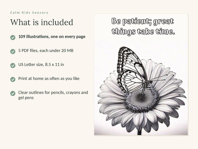 May include: A digital coloring page featuring a black and white line drawing of a butterfly resting on a daisy. The text at the top reads, Be patient; great things take time. The left side lists product details including 109 illustrations, 5 PDF files, and US Letter size 8.5 x 11 inches.