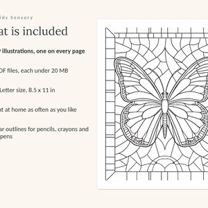 May include: A digital coloring page featuring a butterfly with stained glass style outlines. Text includes: Calm Kids Sensory, What is included, 109 illustrations, one on every page, 4 PDF files, each under 20 MB, US Letter size, 8.5 x 11 in.