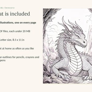 May include: A digital coloring book listing featuring a black and white line art illustration of a dragon in a mountain landscape. Text includes: Calm Kids Sensory, What is included, 49 illustrations, 3 PDF files, US Letter size 8.5 x 11 in.