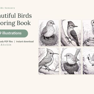 May include: A digital coloring book titled Calm Kids Sensory Beautiful Birds Coloring Book with 49 illustrations. It includes 3 print-ready PDF files in US Letter 8.5 x 11 in format, featuring six black and white line art drawings of various birds.