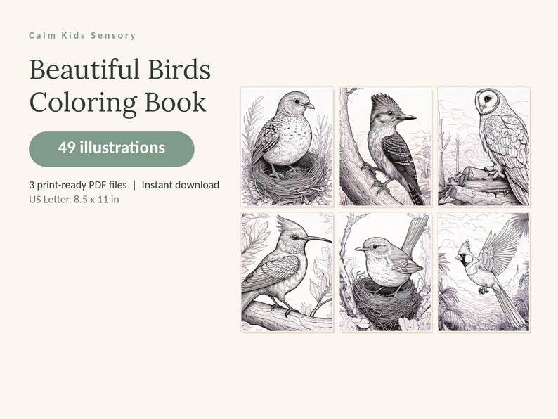 May include: A digital colouring book titled Calm Kids Sensory Beautiful Birds Colouring Book with 49 illustrations. It includes 3 print-ready PDF files in 21.59 x 27.94 cm format, featuring six black and white line art drawings of various birds.