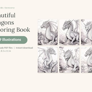 May include: A digital coloring book titled Beautiful Dragons Coloring Book with 49 illustrations. The cover displays six black and white line art drawings of dragons in various settings. It includes 3 print-ready PDF files at 8.5 x 11 inches.