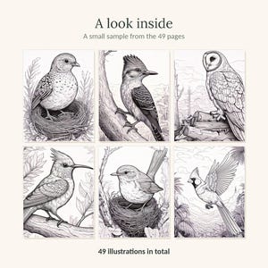 May include: A collection of six black and white line art illustrations featuring various birds in natural settings. The text reads A look inside, A small sample from the 49 pages, and 49 illustrations in total. The birds include a nestling, a woodpecker, an owl, a crested bird, a small bird in a nest, and a cardinal.