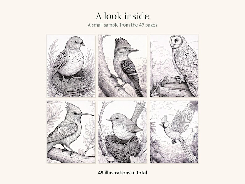 May include: A collection of six black and white line art illustrations featuring various birds in natural settings. The text reads A look inside, A small sample from the 49 pages, and 49 illustrations in total. The birds include a nestling, a woodpecker, an owl, a crested bird, a small bird in a nest, and a cardinal.