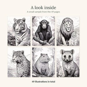 May include: A collection of six black and white animal illustrations featuring a tiger, chimpanzee, lion, leopard, capybara, and a small mammal. The text reads A look inside, A small sample from the 49 pages, and 49 illustrations in total.