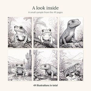 K&ouml;nnte beinhalten: Eine Malbuch-Seitenvorschau mit sechs schwarz-wei&szlig;en Strichzeichnungen von Fr&ouml;schen und Eidechsen in nat&uuml;rlichen Lebensr&auml;umen. Der Text lautet A look inside, A small sample from the 49 pages und 49 illustrations in total.