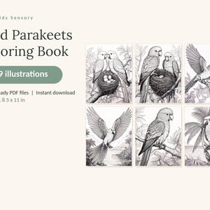 Puede incluir: Un libro de colorear digital titulado Wild Parakeets Coloring Book con 49 ilustraciones. El texto incluye Calm Kids Sensory, 49 illustrations, 3 print-ready PDF files y US Letter, 21,59 x 27,94 cm. Seis dibujos de l&iacute;neas en blanco y negro muestran periquitos.