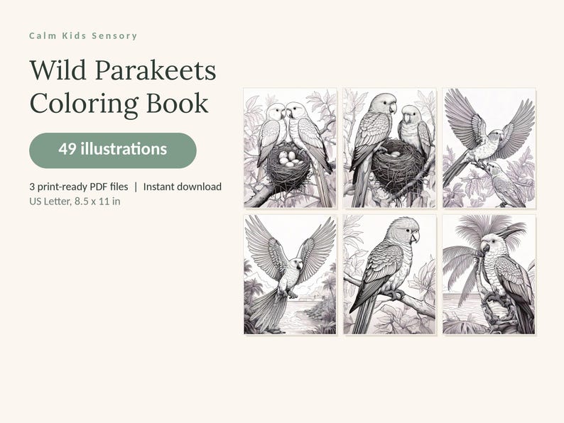 Puede incluir: Un libro de colorear digital titulado Wild Parakeets Coloring Book con 49 ilustraciones. El texto incluye Calm Kids Sensory, 49 illustrations, 3 print-ready PDF files y US Letter, 21,59 x 27,94 cm. Seis dibujos de l&iacute;neas en blanco y negro muestran periquitos.