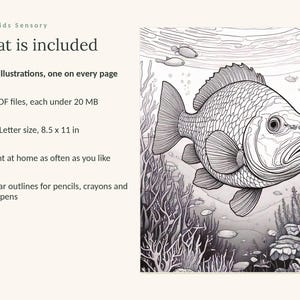 May include: A digital colouring book page featuring a detailed black and white line drawing of a fish swimming among coral and underwater plants. The text reads Calm Kids Sensory, What is included, 49 illustrations, 3 PDF files, 21.59 x 27.94 cm.