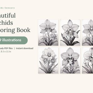 May include: A digital coloring book titled Beautiful Orchids Coloring Book by Calm Kids Sensory, featuring 49 illustrations. The set includes 3 print-ready PDF files in US Letter size, 8.5 x 11 inches, showcasing six black and white orchid drawings.