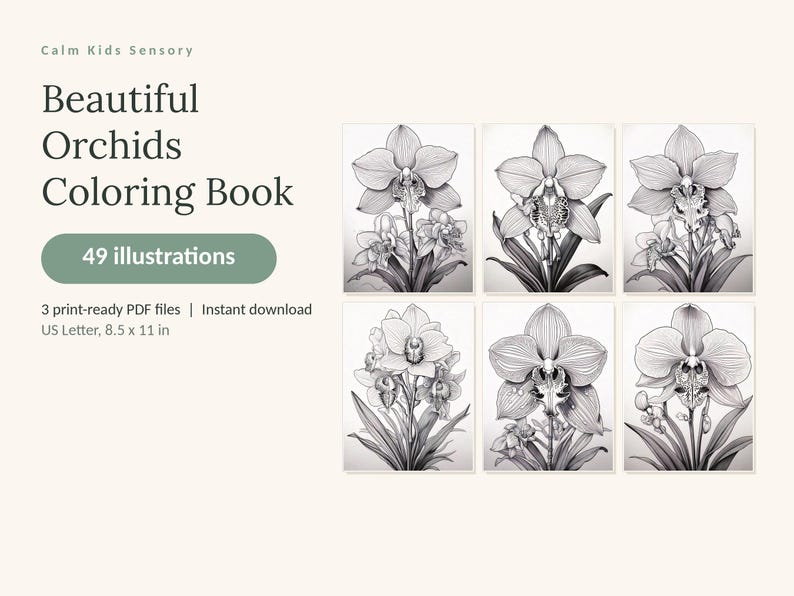 May include: A digital coloring book titled Beautiful Orchids Coloring Book by Calm Kids Sensory, featuring 49 illustrations. The set includes 3 print-ready PDF files in US Letter size, 8.5 x 11 inches, showcasing six black and white orchid drawings.