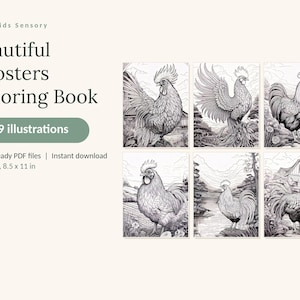 May include: A digital coloring book titled Calm Kids Sensory Beautiful Roosters Coloring Book with 49 illustrations. The product includes 3 print-ready PDF files in US Letter 8.5 x 11 in size, featuring six black and white rooster drawings.