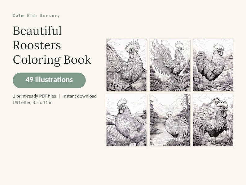 May include: A digital colouring book titled Calm Kids Sensory Beautiful Roosters Colouring Book with 49 illustrations. The product includes 3 print-ready PDF files in US Letter 21.59 x 27.94 cm size, featuring six black and white rooster drawings.