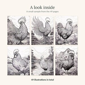 May include: A colouring book page sample featuring six distinct black and white line art illustrations of roosters in various rural settings. The text A look inside, A small sample from the 49 pages, and 49 illustrations in total is visible.