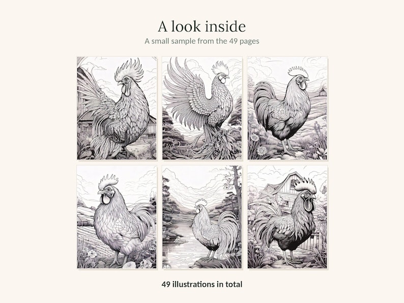 May include: A colouring book page sample featuring six distinct black and white line art illustrations of roosters in various rural settings. The text A look inside, A small sample from the 49 pages, and 49 illustrations in total is visible.