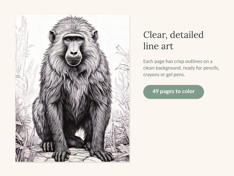 May include: A coloring book featuring a black and white line art illustration of a baboon sitting in a natural environment. The text reads: Clear, detailed line art. Each page has crisp outlines on a clean background, ready for pencils, crayons or gel pens. 49 pages to color.
