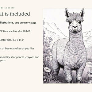 May include: A digital coloring book set titled Calm Kids Sensory featuring 49 illustrations. It includes 3 PDF files under 20 MB, US Letter size 8.5 x 11 inches, and printable pages with clear outlines of an alpaca in a field for pencils and crayons.