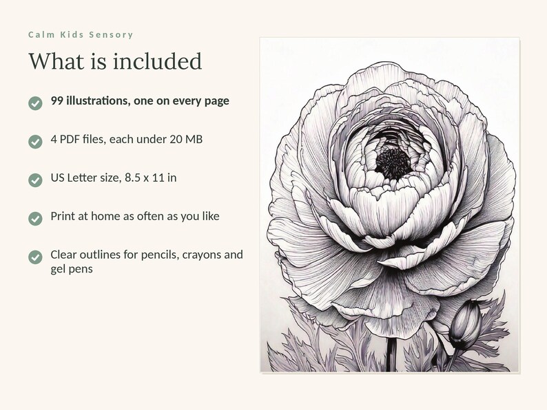 May include: A digital coloring book titled Calm Kids Sensory featuring 99 illustrations, 4 PDF files, and US Letter size 8.5 x 11 in pages. The image displays a detailed black and white line drawing of a large, multi-petaled ranunculus flower.