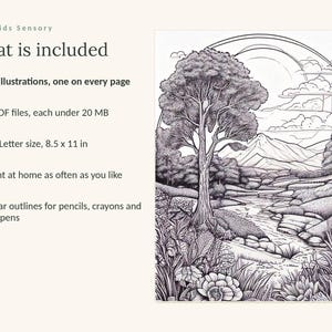 Puede incluir: Un conjunto de p&aacute;ginas para colorear digitales titulado Calm Kids Sensory con 49 ilustraciones. El texto enumera 4 archivos PDF de menos de 20 MB, tama&ntilde;o carta de EE. UU. 8.5 x 11 pulgadas y contornos claros para l&aacute;pices, crayones y bol&iacute;grafos.