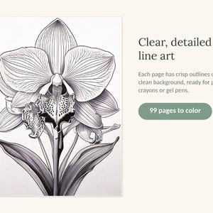 May include: A black and white line art illustration of an orchid flower with detailed petals and leaves. The text reads: Clear, detailed line art. Each page has crisp outlines on a clean background, ready for pencils, crayons or gel pens. 99 pages to color.