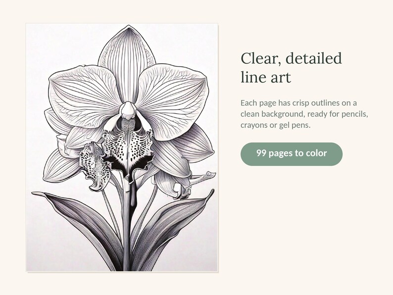 May include: A black and white line art illustration of an orchid flower with detailed petals and leaves. The text reads: Clear, detailed line art. Each page has crisp outlines on a clean background, ready for pencils, crayons or gel pens. 99 pages to color.