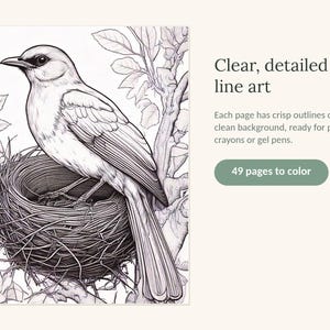 May include: A black and white line art illustration of a bird perched in a nest within a tree. The text reads: Clear, detailed line art. Each page has crisp outlines on a clean background, ready for pencils, crayons or gel pens. 49 pages to colour.