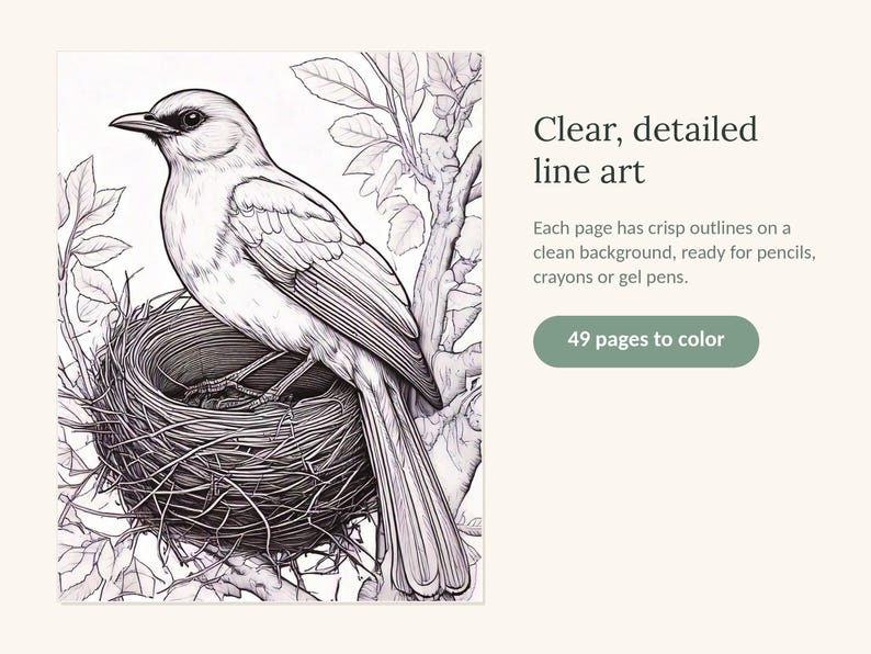 May include: A black and white line art illustration of a bird perched in a nest within a tree. The text reads: Clear, detailed line art. Each page has crisp outlines on a clean background, ready for pencils, crayons or gel pens. 49 pages to colour.