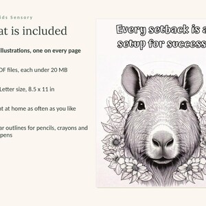 May include: A digital coloring page featuring a capybara surrounded by flowers with the text Every setback is a setup for success. The product includes 89 illustrations in 5 PDF files, US Letter size 8.5 x 11 inches, with clear outlines for coloring.