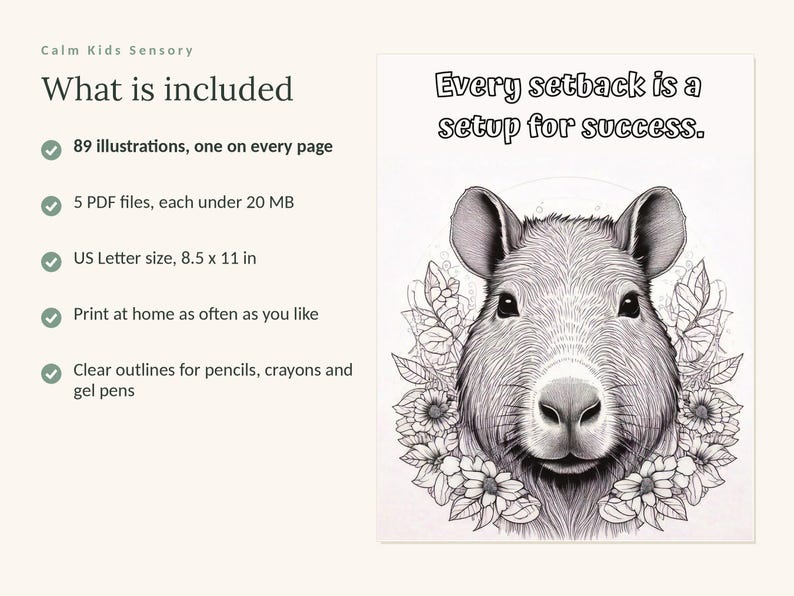 May include: A digital coloring page featuring a capybara surrounded by flowers with the text Every setback is a setup for success. The product includes 89 illustrations in 5 PDF files, US Letter size 8.5 x 11 inches, with clear outlines for coloring.