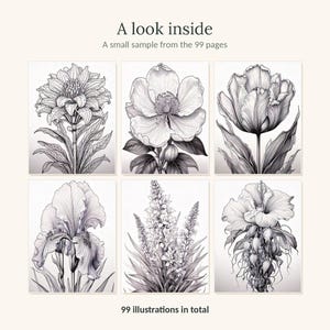 May include: A collection of six black and white botanical illustrations featuring various flowers. The text at the top reads A look inside A small sample from the 99 pages and the text at the bottom reads 99 illustrations in total.