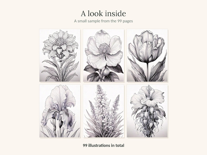 May include: A collection of six black and white botanical illustrations featuring various flowers. The text at the top reads A look inside A small sample from the 99 pages and the text at the bottom reads 99 illustrations in total.