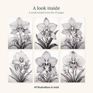 May include: A collection of six black and white orchid illustrations arranged in a grid. The text at the top reads A look inside A small sample from the 49 pages and the text at the bottom reads 49 illustrations in total. Each panel features detailed line art of orchid flowers and leaves.