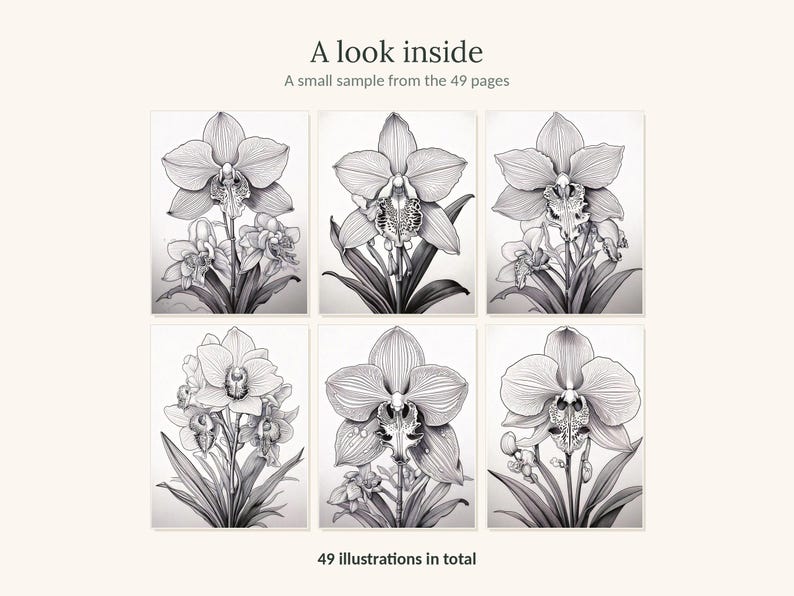 May include: A collection of six black and white orchid illustrations arranged in a grid. The text at the top reads A look inside A small sample from the 49 pages and the text at the bottom reads 49 illustrations in total. Each panel features detailed line art of orchid flowers and leaves.