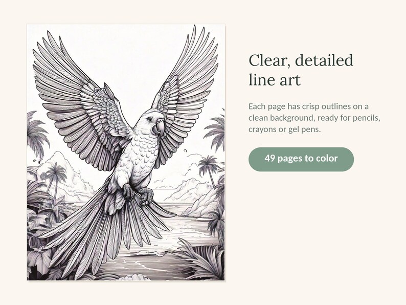Puede incluir: Una p&aacute;gina de libro para colorear en blanco y negro que muestra un loro en vuelo con las alas extendidas sobre una escena de playa tropical con palmeras. El texto dice: Clear, detailed line art. Each page has crisp outlines on a clean background, ready for pencils, crayons or gel pens. 49 pages to color.
