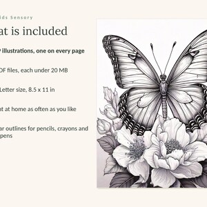 May include: A digital coloring book set titled Calm Kids Sensory featuring 109 illustrations. The text lists 4 PDF files under 20 MB, US Letter size 8.5 x 11 inches, and clear outlines for coloring. The image shows a black and white butterfly on flowers.