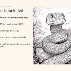 Może przedstawiać: Cyfrowy zestaw kolorowanek zatytułowany Calm Kids Sensory zawierający 49 ilustracji. Zawiera 3 pliki PDF poniżej 20 MB, format US Letter 8,5 x 11 cali oraz wyraźne kontury do kolorowania. Obraz przedstawia czarno-białego węża w otoczeniu.