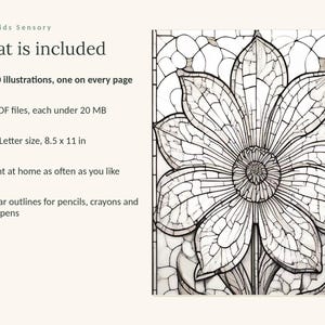 May include: A digital coloring book page featuring a large, stained-glass style flower illustration with clear black outlines. Text includes: Calm Kids Sensory, What is included, 110 illustrations, 5 PDF files, US Letter size 8.5 x 11 in.