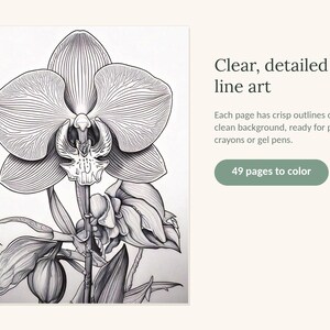 May include: A black and white line art illustration of an orchid flower with detailed petals and leaves. The text reads: Clear, detailed line art. Each page has crisp outlines on a clean background, ready for pencils, crayons or gel pens. 49 pages to color.