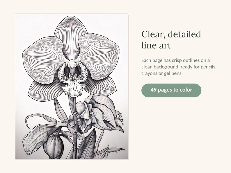 May include: A black and white line art illustration of an orchid flower with detailed petals and leaves. The text reads: Clear, detailed line art. Each page has crisp outlines on a clean background, ready for pencils, crayons or gel pens. 49 pages to color.