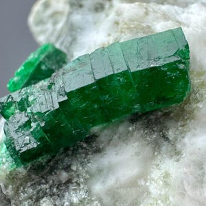 May include: A vibrant green emerald crystal specimen featuring a distinct prismatic structure with visible striations, embedded within a rough, opaque white and grey mineral matrix. The crystal displays a translucent quality and sharp edges.