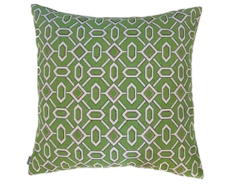 Envy- Pillow cover