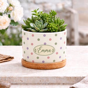 May include: A white ceramic planter with a pattern of small pink, purple, and green polka dots. The front features an oval label with the name Emma printed in black script. The planter sits on a round wooden base and holds green succulents.