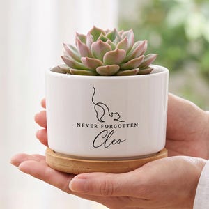 Puede incluir: Una maceta cilíndrica de cerámica blanca con base de platillo de bambú, que contiene una suculenta verde y rosa. La maceta presenta un dibujo de línea negra de un gato y el texto "NEVER FORGOTTEN Cleo" impreso en la superficie frontal.
