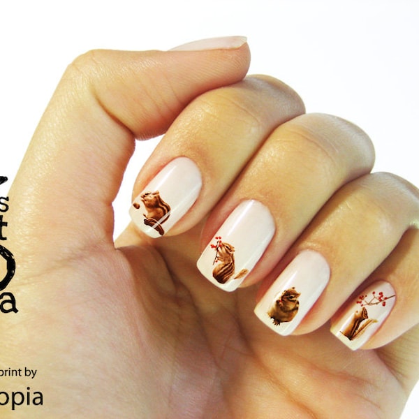 Chipmunks Nail Sticker