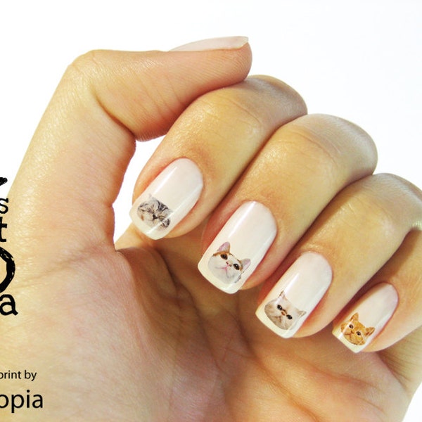 Cat Faces Nail Sticker