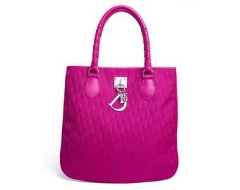 dior acrylic bolsa