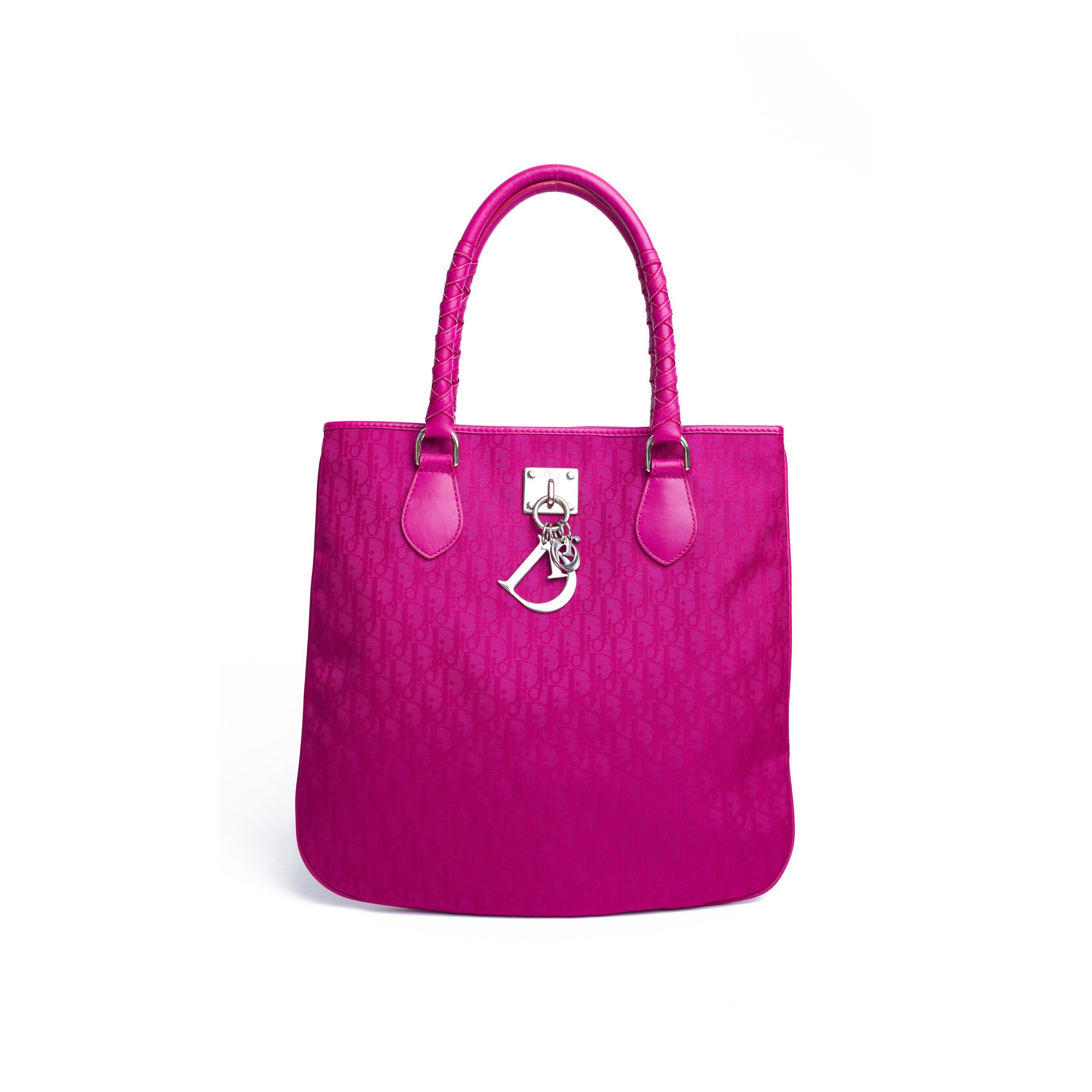 christian dior tote bag