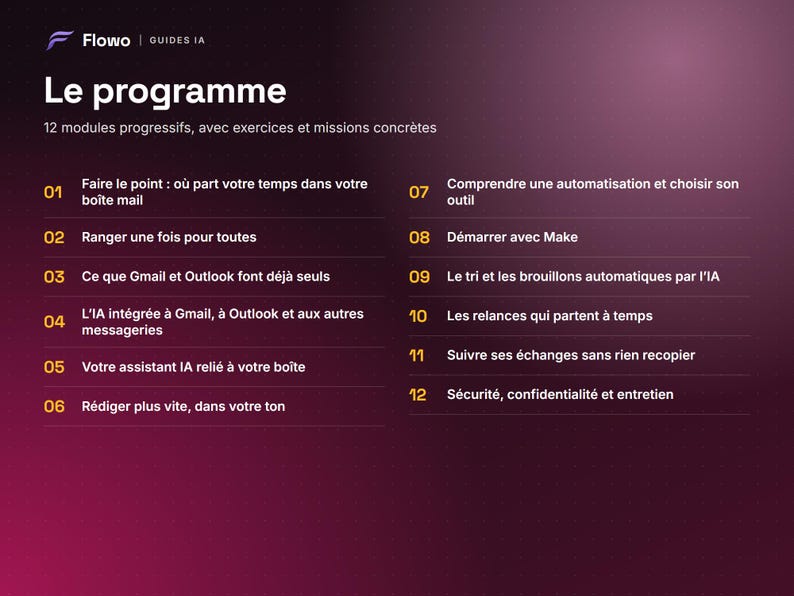 May include: A dark purple digital graphic titled Le programme by Flowo, listing 12 progressive modules for email management. The text outlines topics including AI integration, automation with Make, email sorting, and security practices in French.